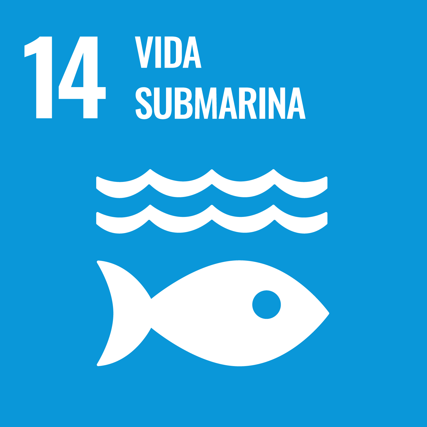 14.- Conservar y utilizar de forma sostenible los océanos, mares y recursos marinos para lograr el desarrollo sostenible