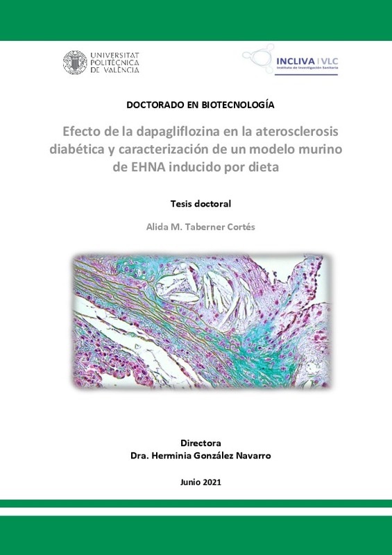 Efecto de la dapagliflozina en la aterosclerosis diabética y  caracterización de un modelo murino de EHNA inducido por dieta