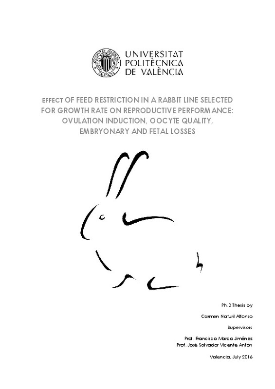 Effect Of Feed Restriction In A Rabbit Line Selected For Growth Rate On Reproductive Performance Ovulation Induction Oocyte Qu